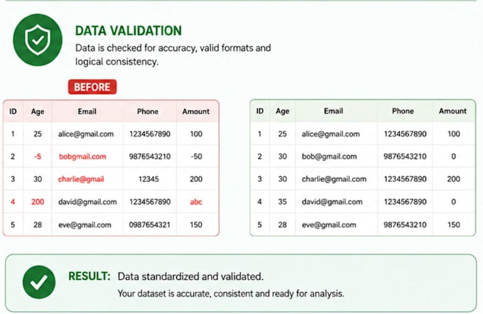 professionally clean and prepare your data for analysis