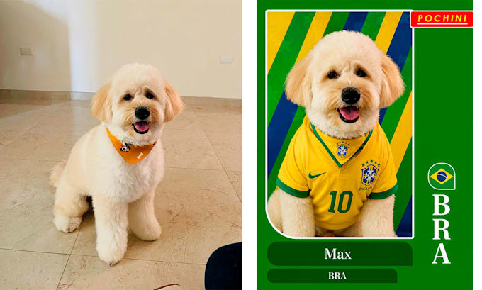 create a custom collector trading card with your pet photo