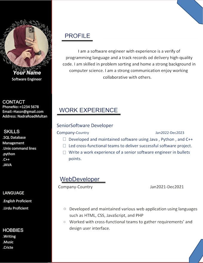 design a professional CV in canva and word