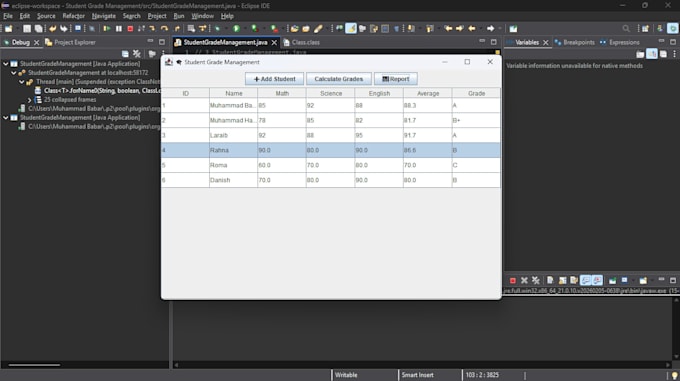 develop java desktop application using java swing