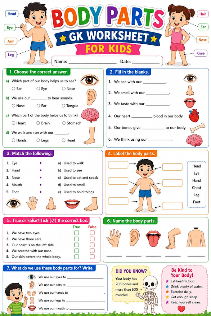 design creative educational worksheets and workbooks for kids