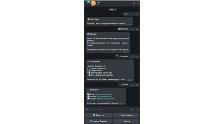 build a python automation script or telegram bot for your business