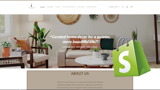 shopify store design redesign website development store edit ecommerce website