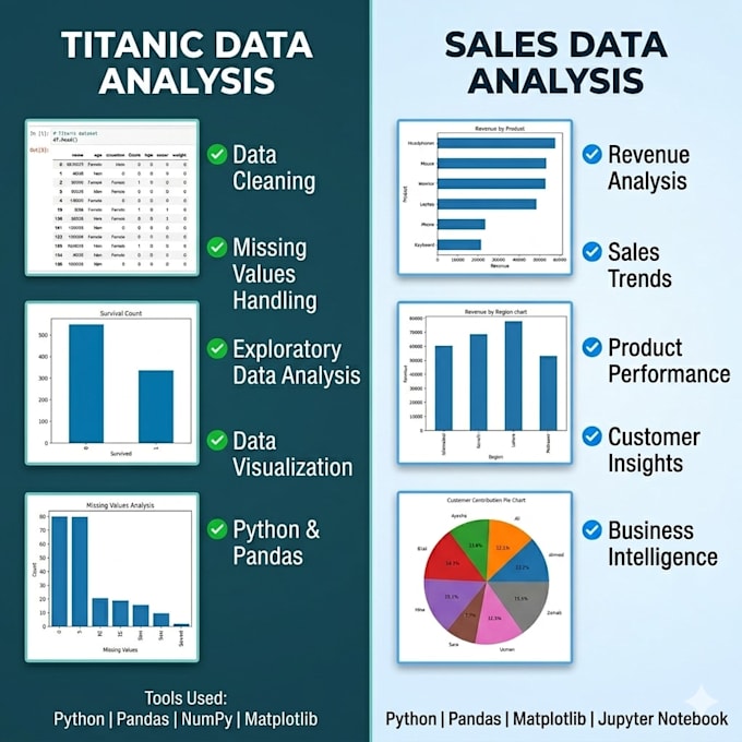 perform eda, data cleaning, and python visualizations with business insights