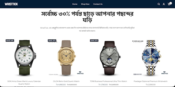 develop a modern shopify store that drives sales