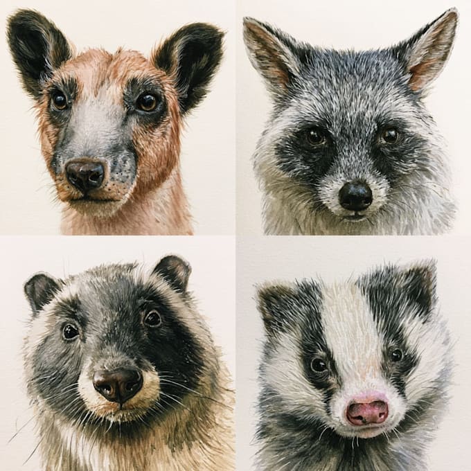 illustrate animals with watercolour