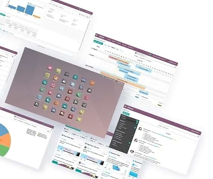 setup, customize, develop and install odoo modules, erp with API integration