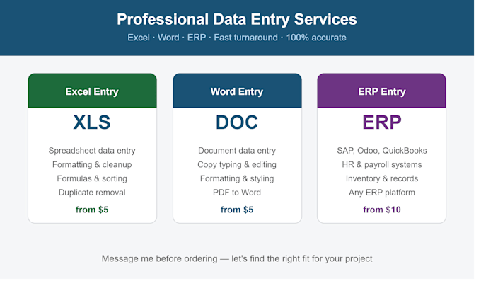 do fast and accurate excel, word and erp data entry