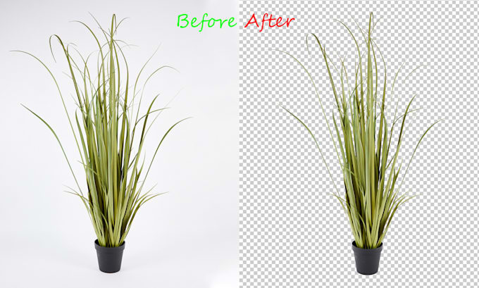 do clipping path and background removal service