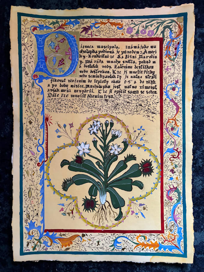 paint and write historically inspired manuscript page