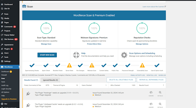 fix wordpress website bugs fix and issues