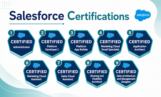 be your salesforce developer and audit your org