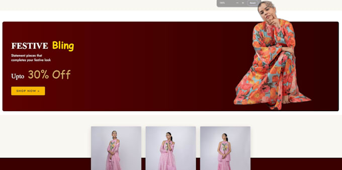 build a professional e commerce website