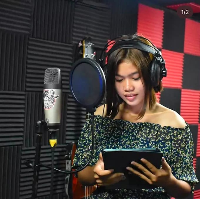 sing your song and do data entry and customer support VA
