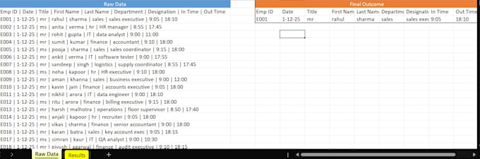 do excel data cleaning, formatting and analyzing