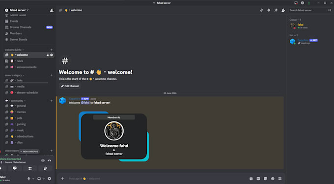 create a professional discord server with bots, roles, and channels