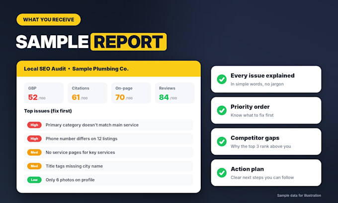 perform a complete local SEO audit with gbp and citation analysis