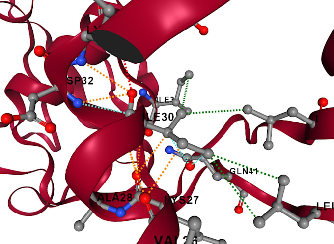 perform bioinformatics analysis, gene annotation, snp and phylogenetic analysis