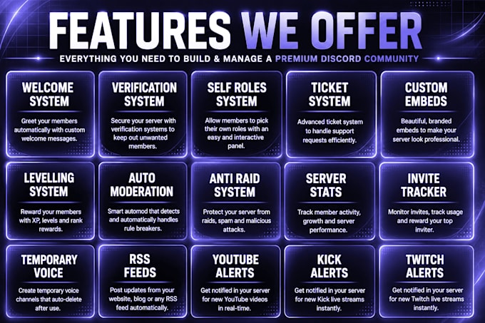 setup a professional discord server with custom branded bot