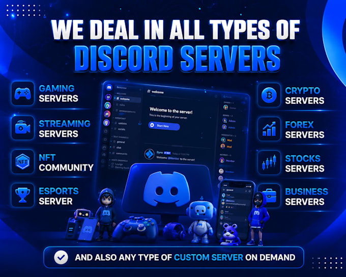 setup a professional custom discord server