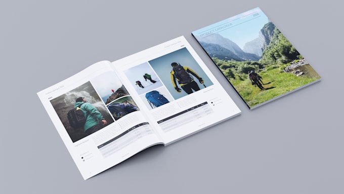 design a professional product brochure or product catalog