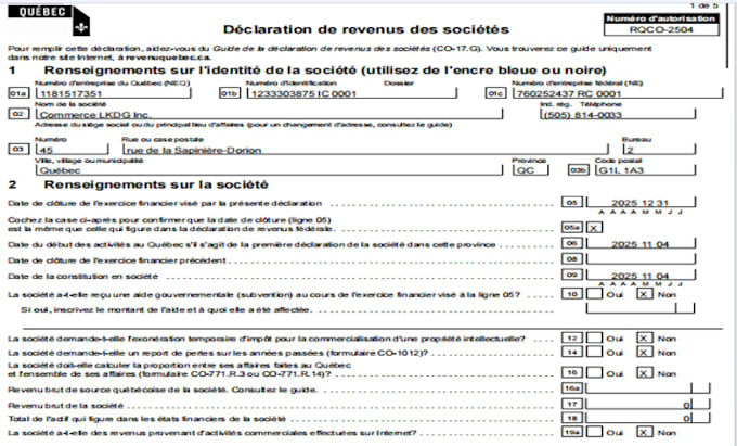 prepare canada tax returns
