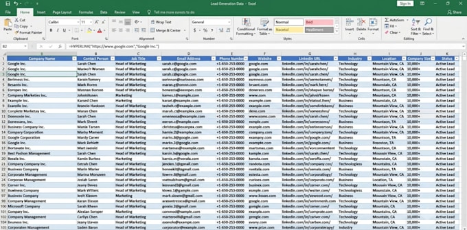 do expert data entry and lead generation