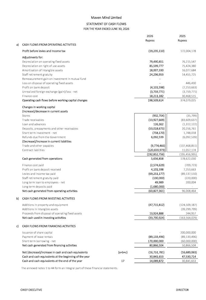 prepare professional financial statements, cash flow