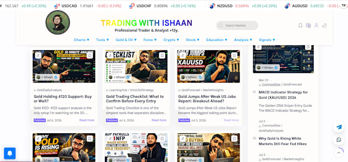 write expert forex, stock, and crypto analysis articles