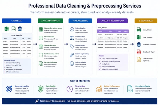 provide professional data cleaning and data preprocessing services