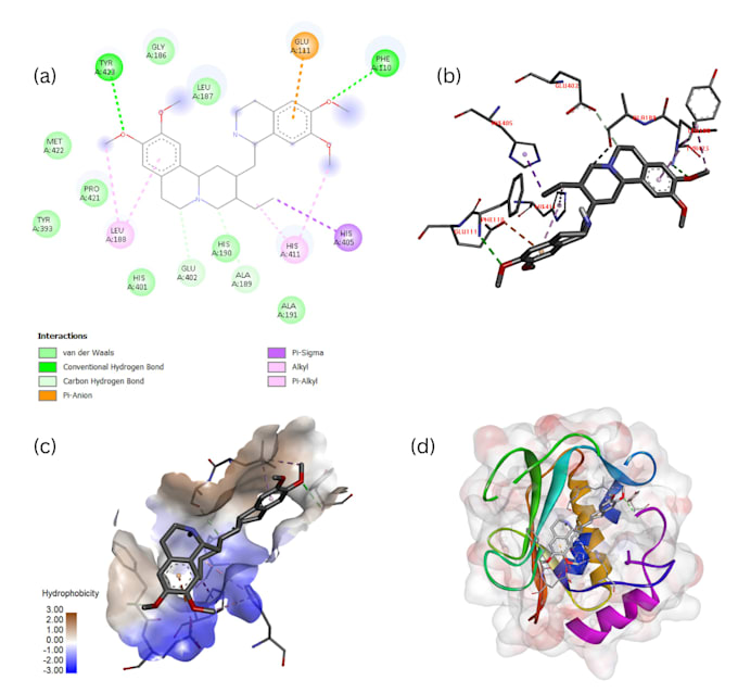 perform molecular docking and drug discovery analysis