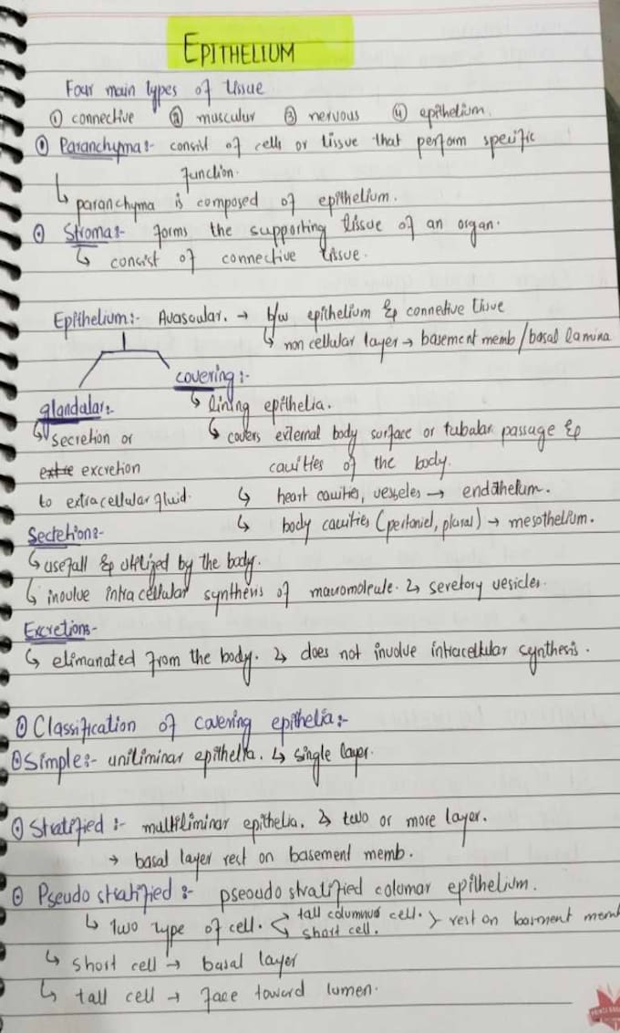 create neat handwritten notes for students