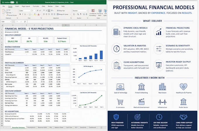 build an investor ready financial model, dcf and forcast