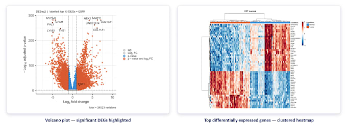 assist in biostatistical and bulk rnaseq analysis and data visualization in r