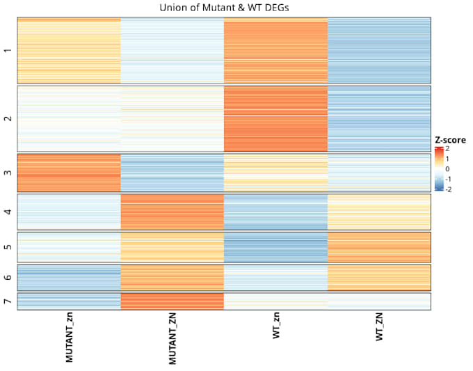 analyze rna seq fastq data as per your need in minimal price