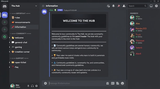 build, setup, and secure a professional discord server