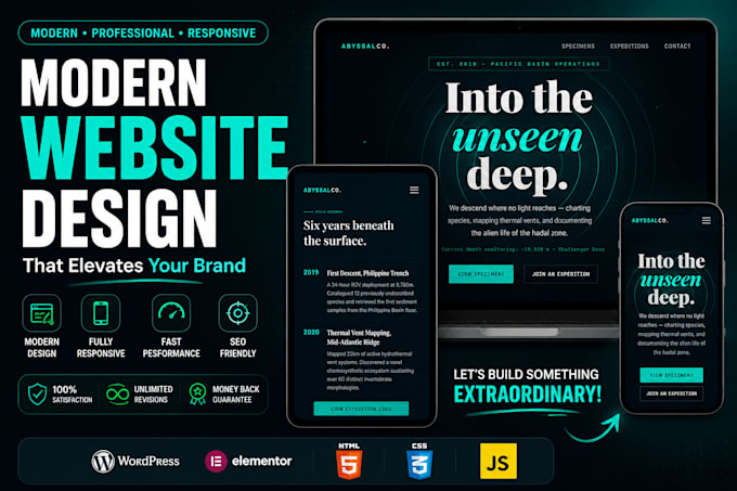 design a stunning and responsive website in wordpress
