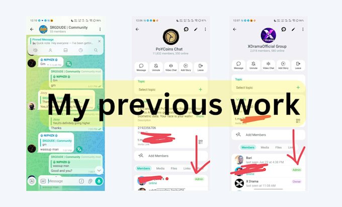 be telegram community manager with 30 account by chat in your crypto project