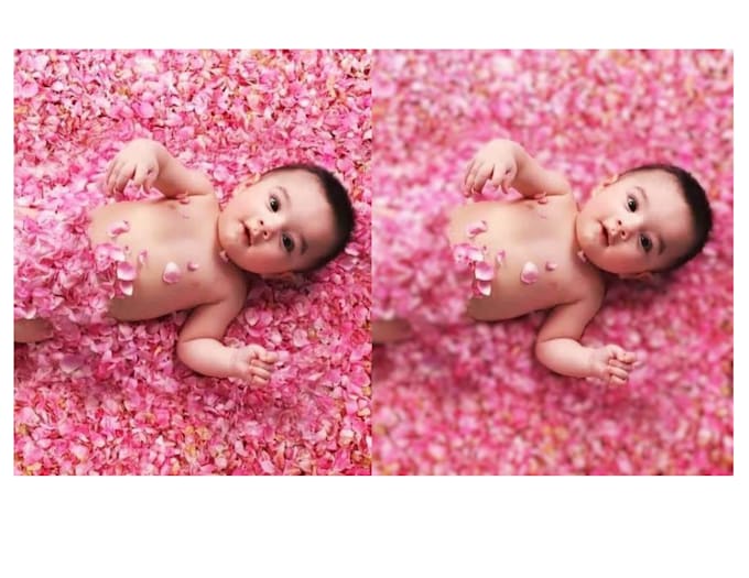 background removal of images