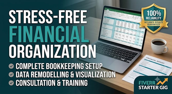 do professional bookkeeping and financial data cleanup in excel