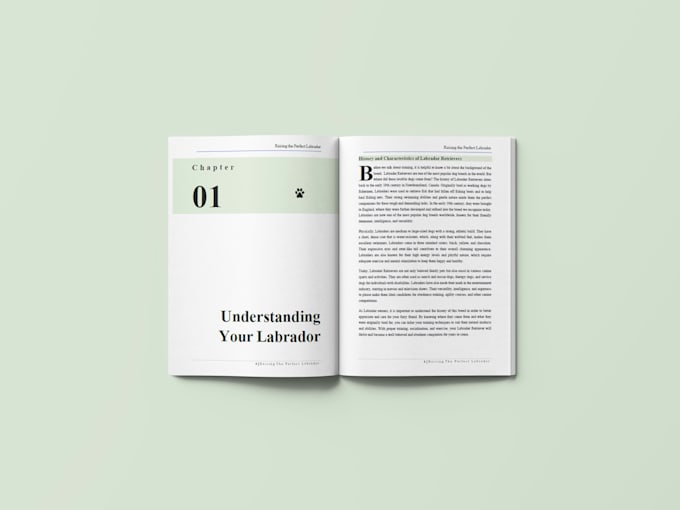 do book formatting for amazon kdp, book design layout design and book publishing