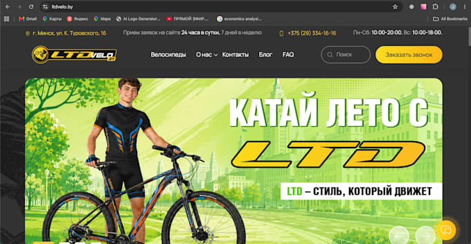 design and develop a professional wordpress website