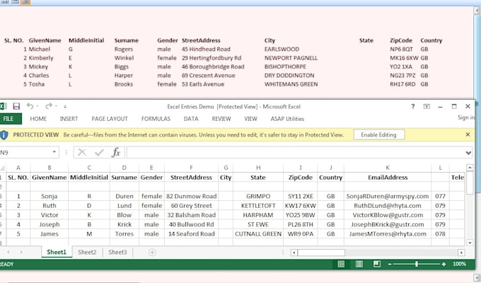 do microsoft excel data entry, formatting, copy paste and PDF to excel