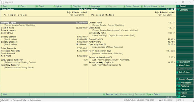 do something much more professional work of tally and excel
