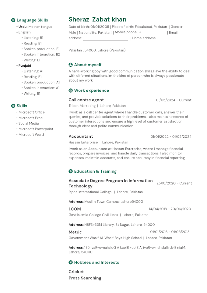 design a professional ats resume and CV
