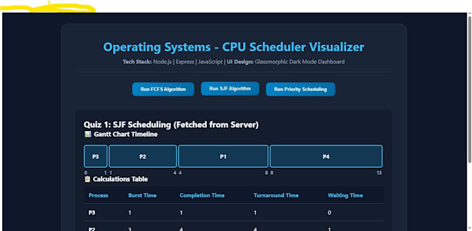 build custom javascript visualizers or web apps