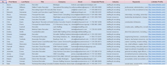 provide accurate and professional data entry services