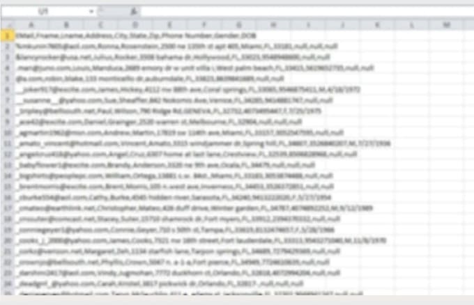 provide USA consumer email list and other info