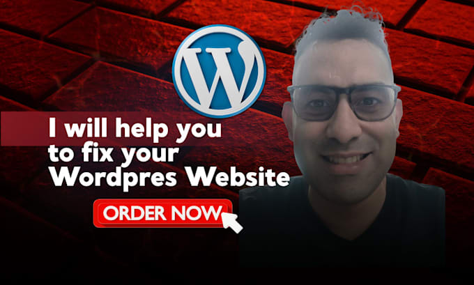 fix your wordpress website issue