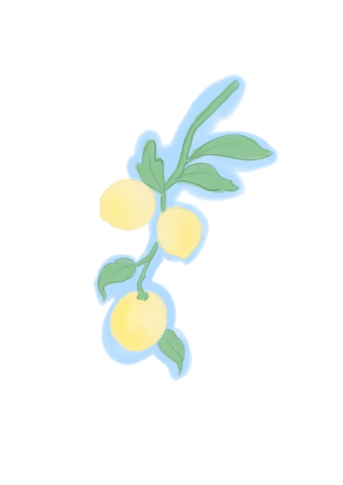 create adorable fruit and berry sticker illustrations